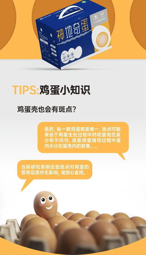 清水一煮香四溢,神地3.0可生食鲜鸡蛋,美味无需多言