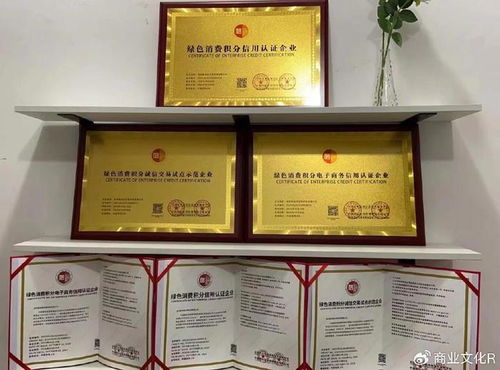 引领电商创业新方向 淘积荟获 绿色消费积分信用认证企业 权威认证