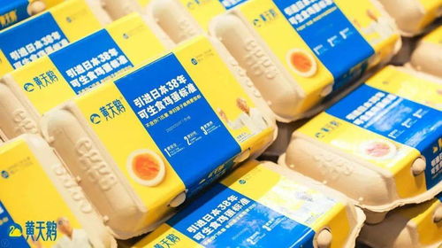 减脂的极品圣地,健身教练也超爱来